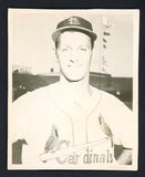 1954 Hunters Wieners Proof Photo Pete Castiglione Cardinals Good 467940