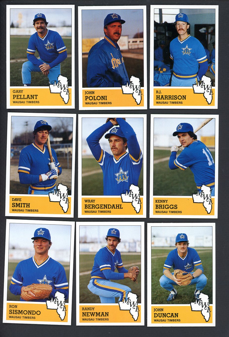 1983 Fritsch Wausau Timbers Complete Set R.J. Harrison 543573
