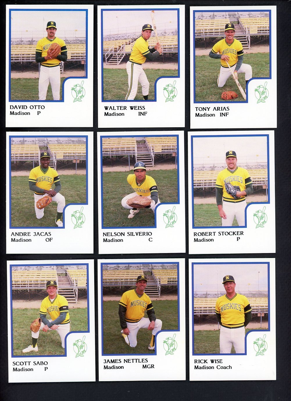 1986 Pro Card Madison Muskies Complete Set Walt Weiss 543701