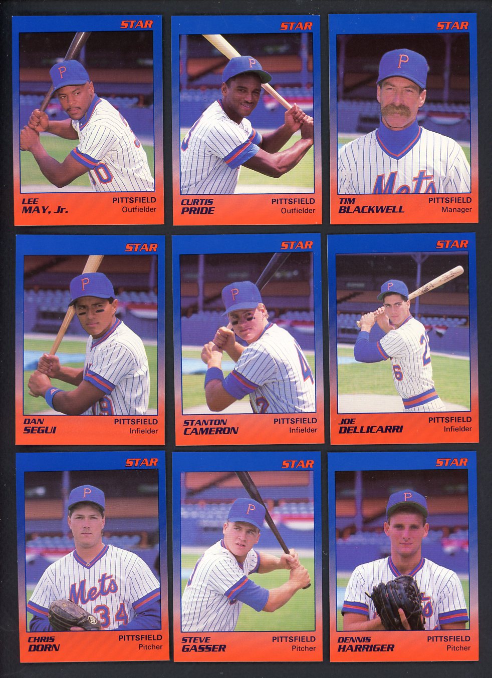 1989 Star Pittsfield Mets Complete Set Curtis Pride 544058