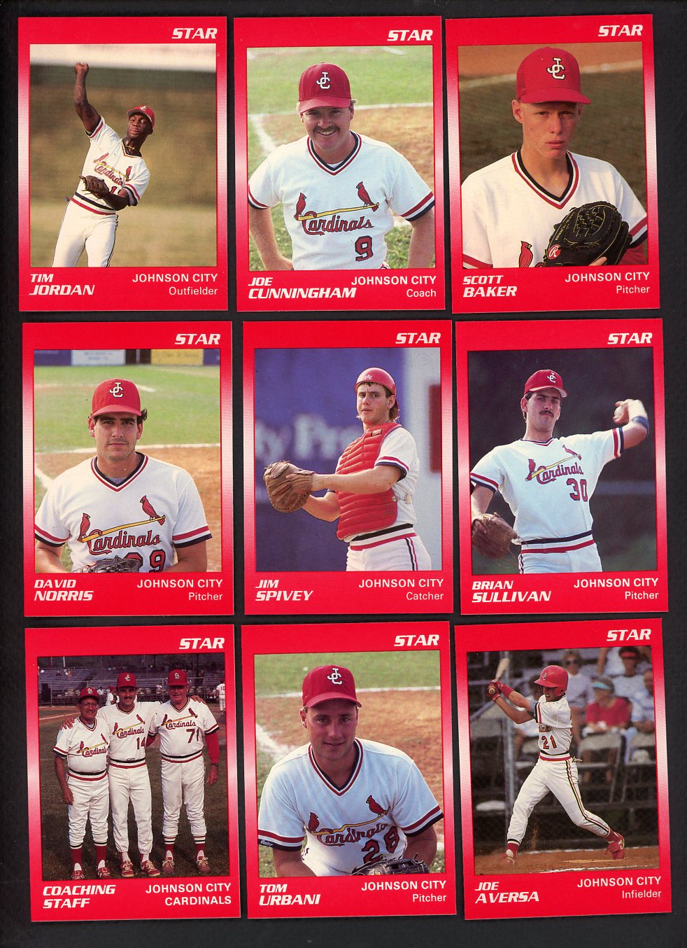 1990 Star Johnson City Cardinals Complete Set Tim Jordan 544096