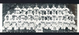 1946 Cleveland Indians Team Photo Feller Boudreau Veeck Lemon 490733