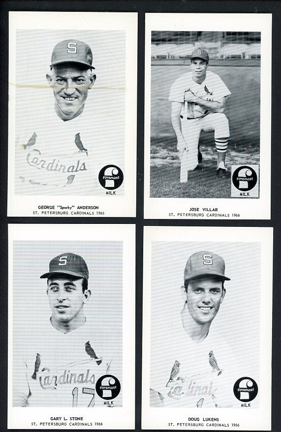 1966 Foremost Milk St. Petersburg Cardinals Complete Set EX 537556