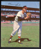 1964-66 Rawlings Advisory Staff Warren Spahn Braves Good 542509
