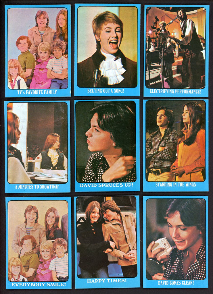 1971 Topps Partridge Family Series A Complete Set 544800
