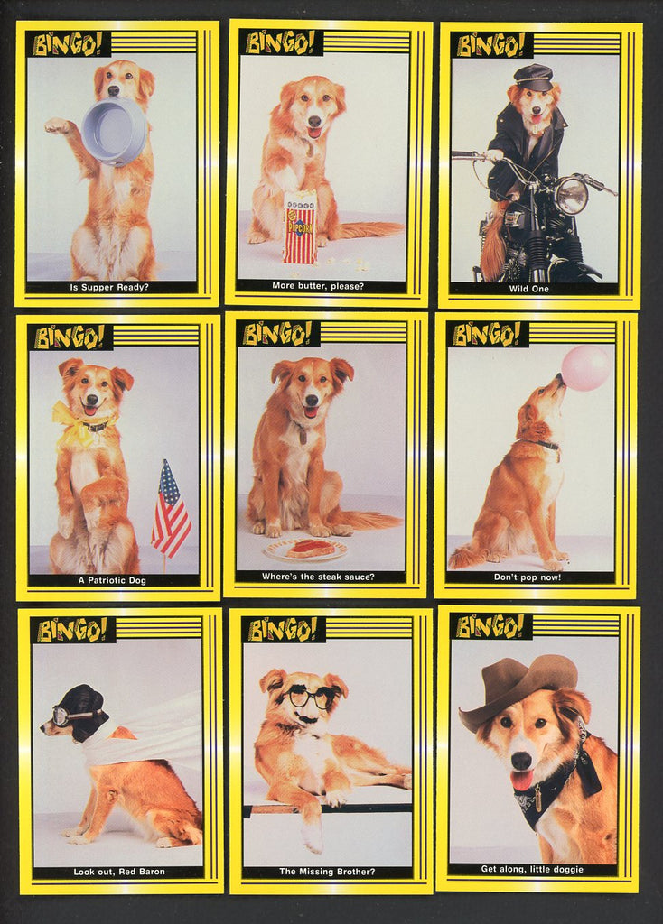 1991 Pacific Bingo Complete Set 544893