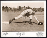 1953 Dixie Lid Premium Billy Cox Dodgers EX-MT 546765